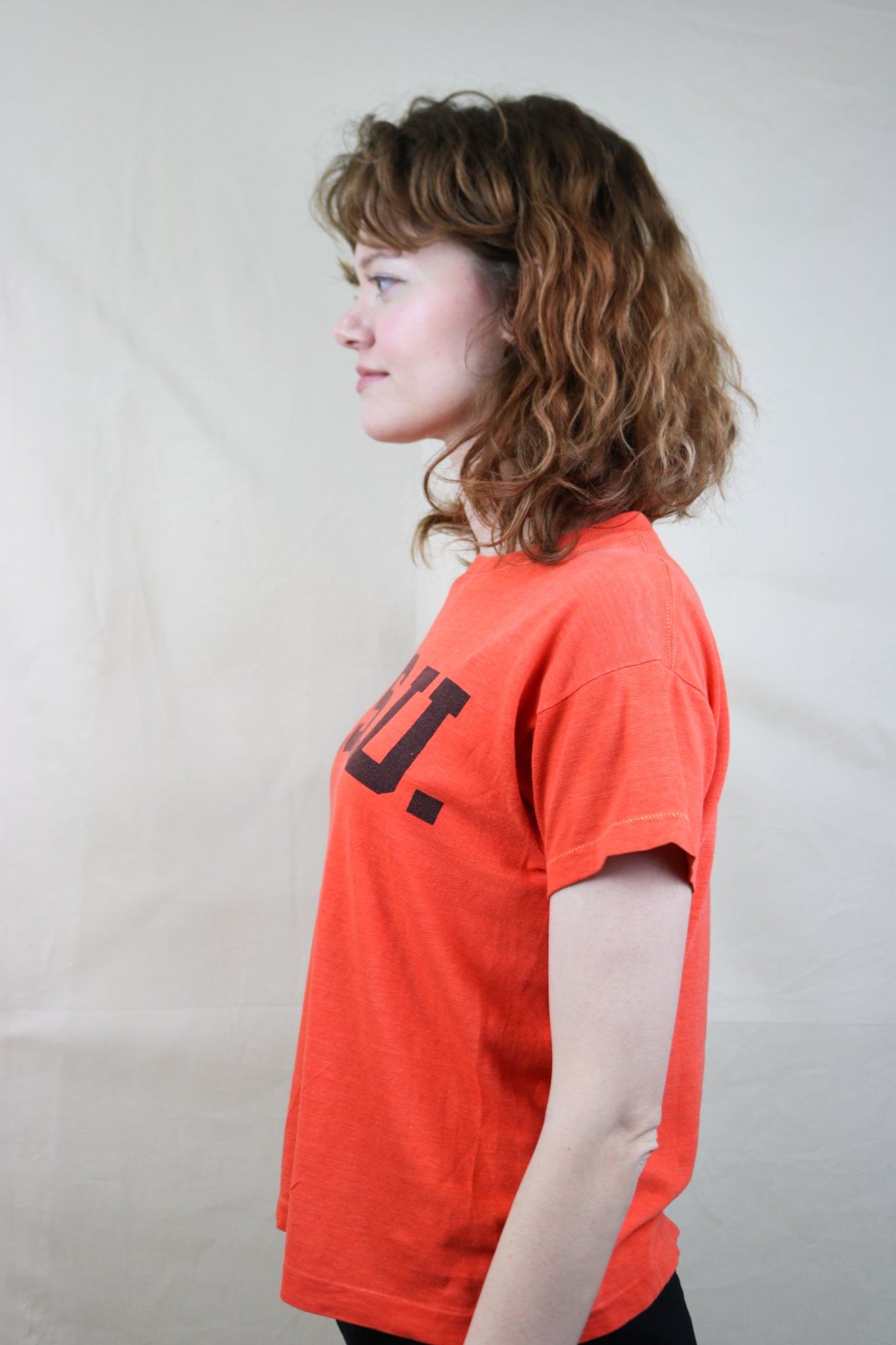 Vintage 1960s 70s Champion TEE